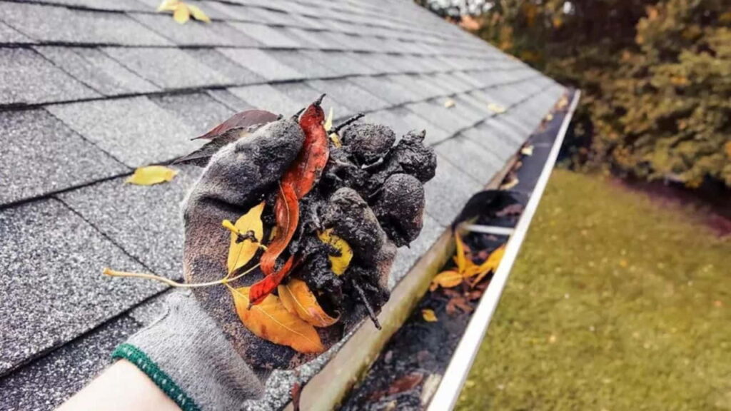 act gutter service local and trusted since 1992 gutters replacement in act