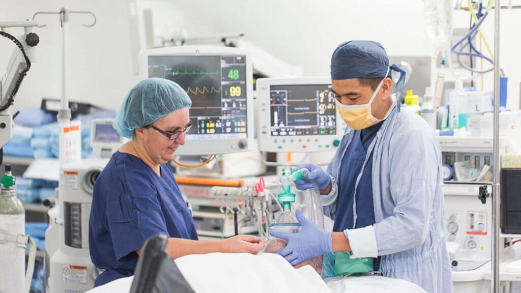 8 ENT Doctors & Clinics in Tasmania – Local Guide 3 mr warwick brennan hobart private hospital specialist